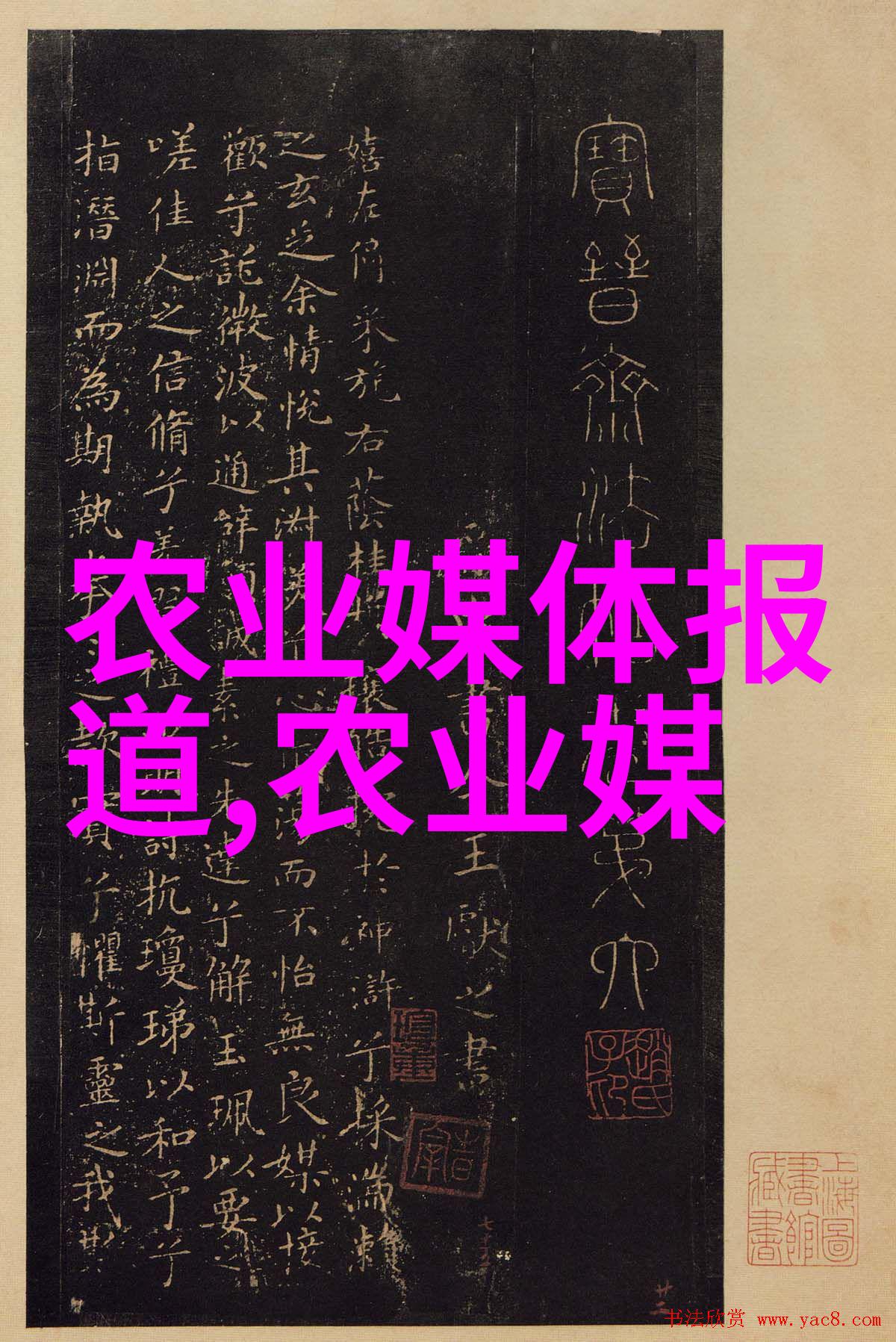 四川正厅级名单幕后秘密与权力游戏