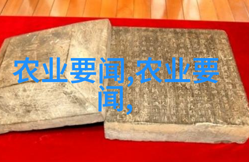 言教授要撞坏了黑暗森林 小说-超越边界言教授的光明之旅