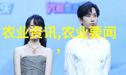土洞养蜂技术视频我来教你如何在家里用土洞养出美味的蜂蜜
