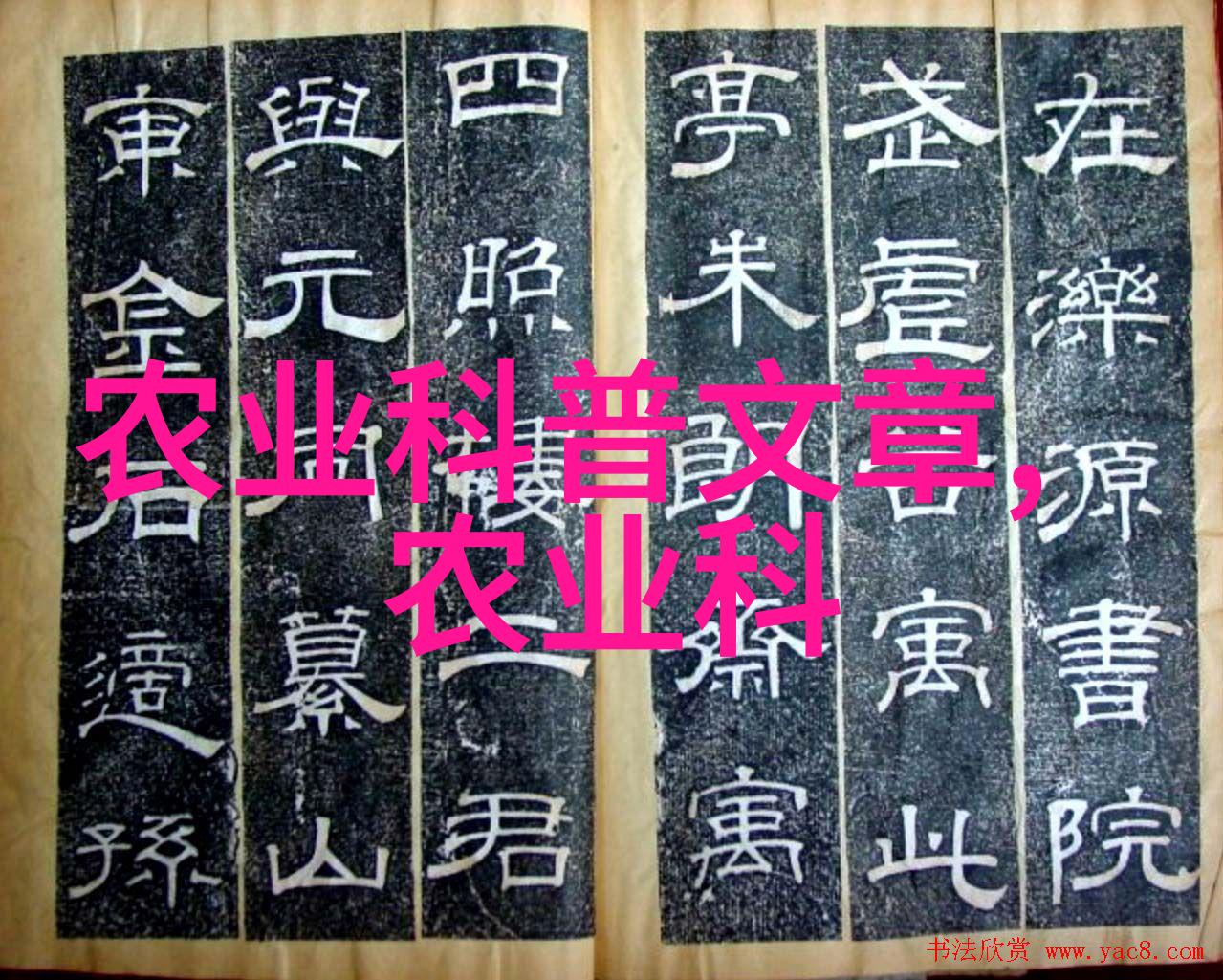 探索硬汉电影三部曲男性的力量与复杂情感