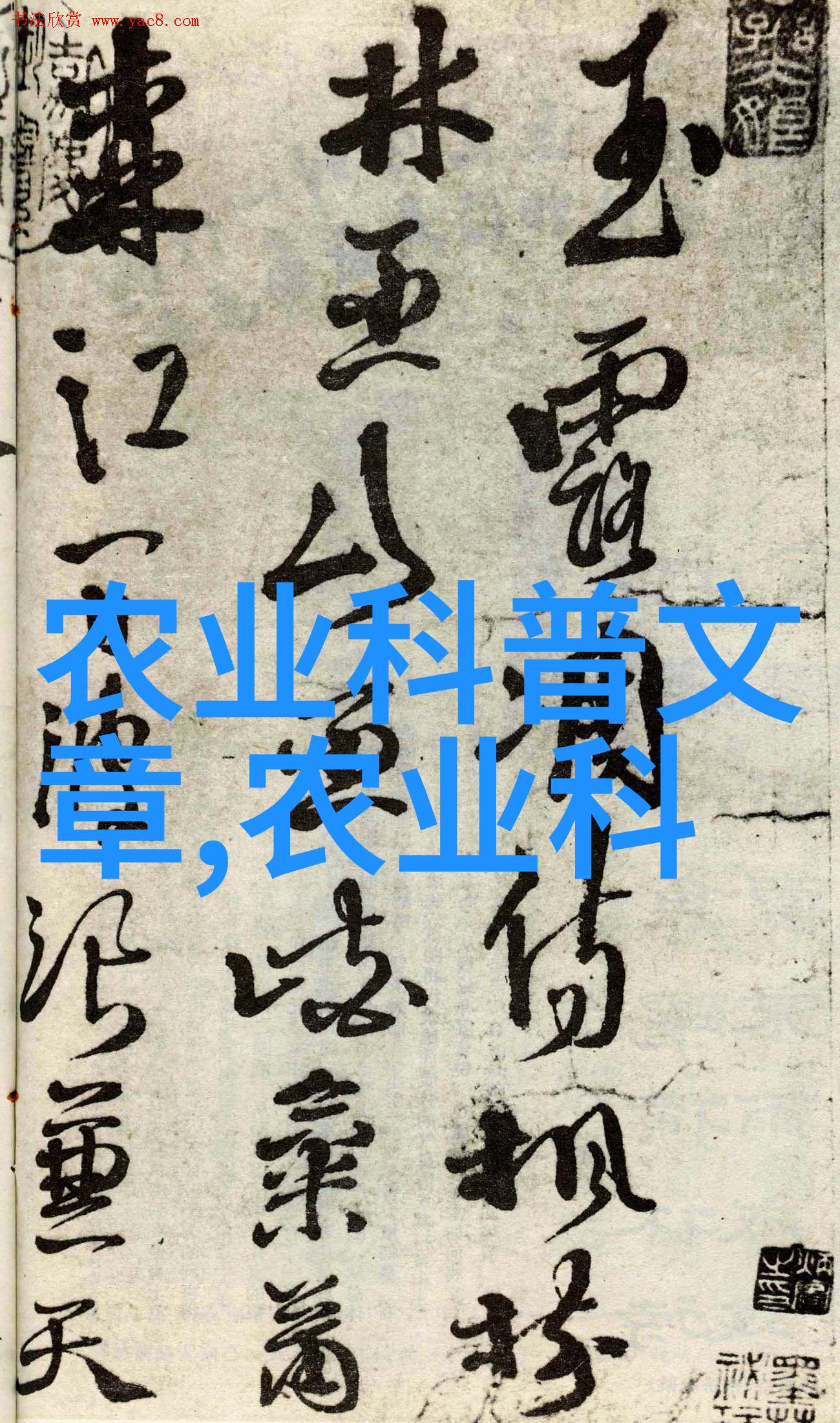 绿茵之冠大棚花卉种植的艺术与科技