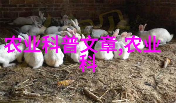 揭秘三农网背后的神秘计划中国农业官方网的未知未来