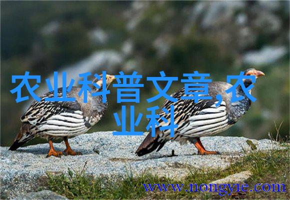 蔬菜种子之网绿意盎然与数字化的反差
