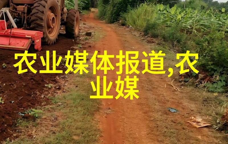 花园艺术精致管理技巧让每一朵花绽放自如