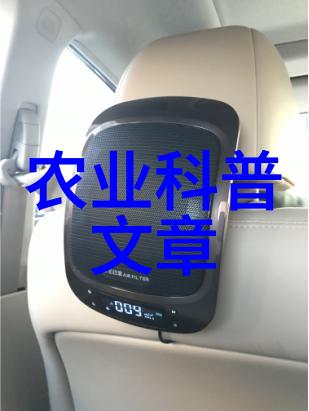 乡村触电Wow都市交流帮喀什农业热起来