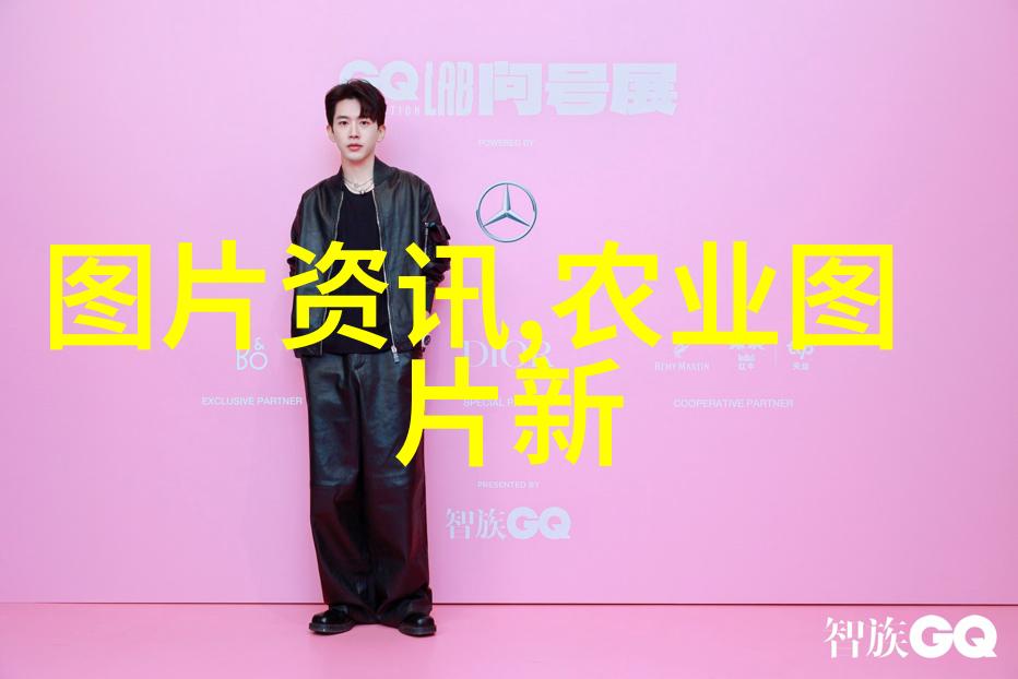 从云南高原到世界各地探索茶叶的起源与历史之旅