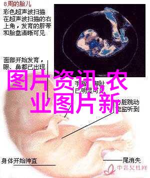 茶文化内涵与茶道精神传统的中国茶艺与现代生活的融合
