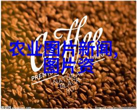 如何选择适合自己园地的苗木种类