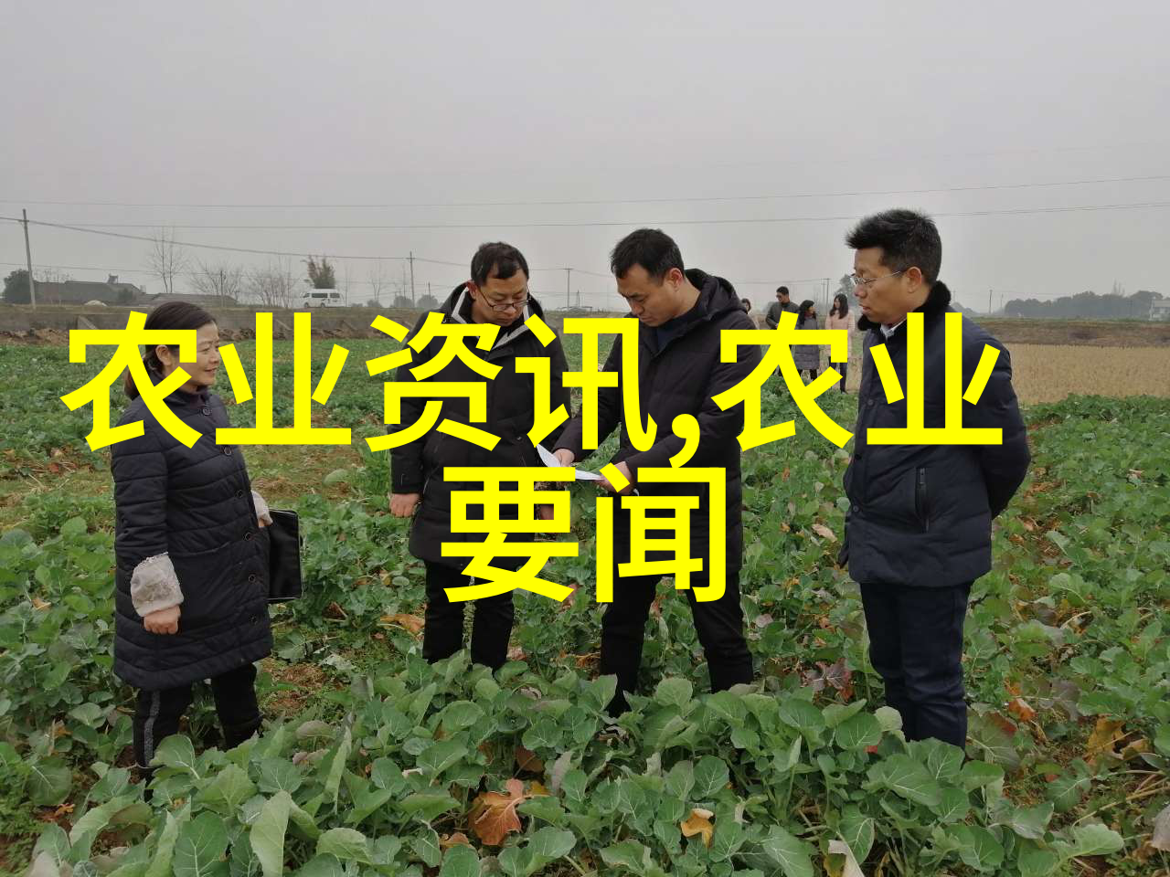 我院三名专家获嘉奖