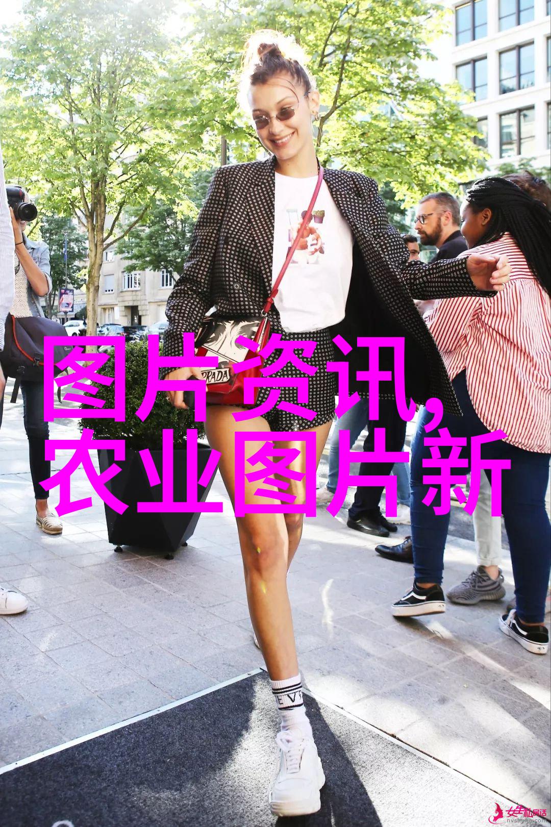 乡间药材五十种草本的秘密