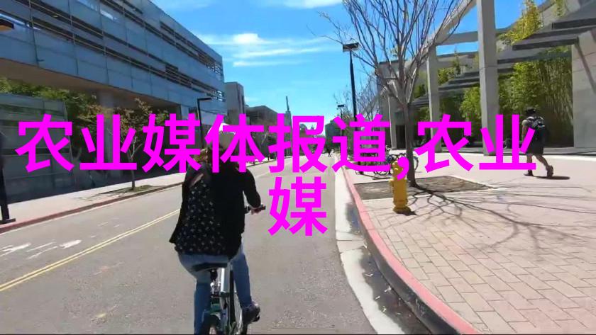 创富秘籍揭秘那些看似小众却能带来高额利润的商机是什么