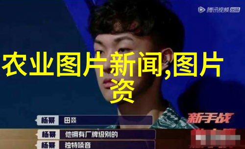 从古老的传说到现代文化茶叶的传奇历程