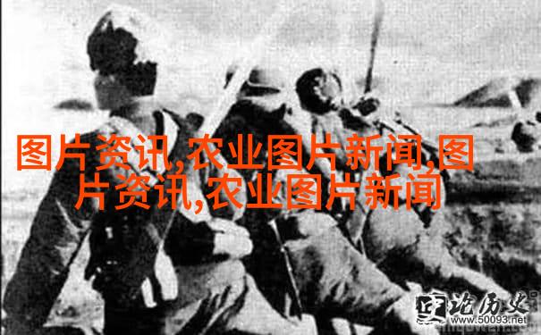 蒲公英