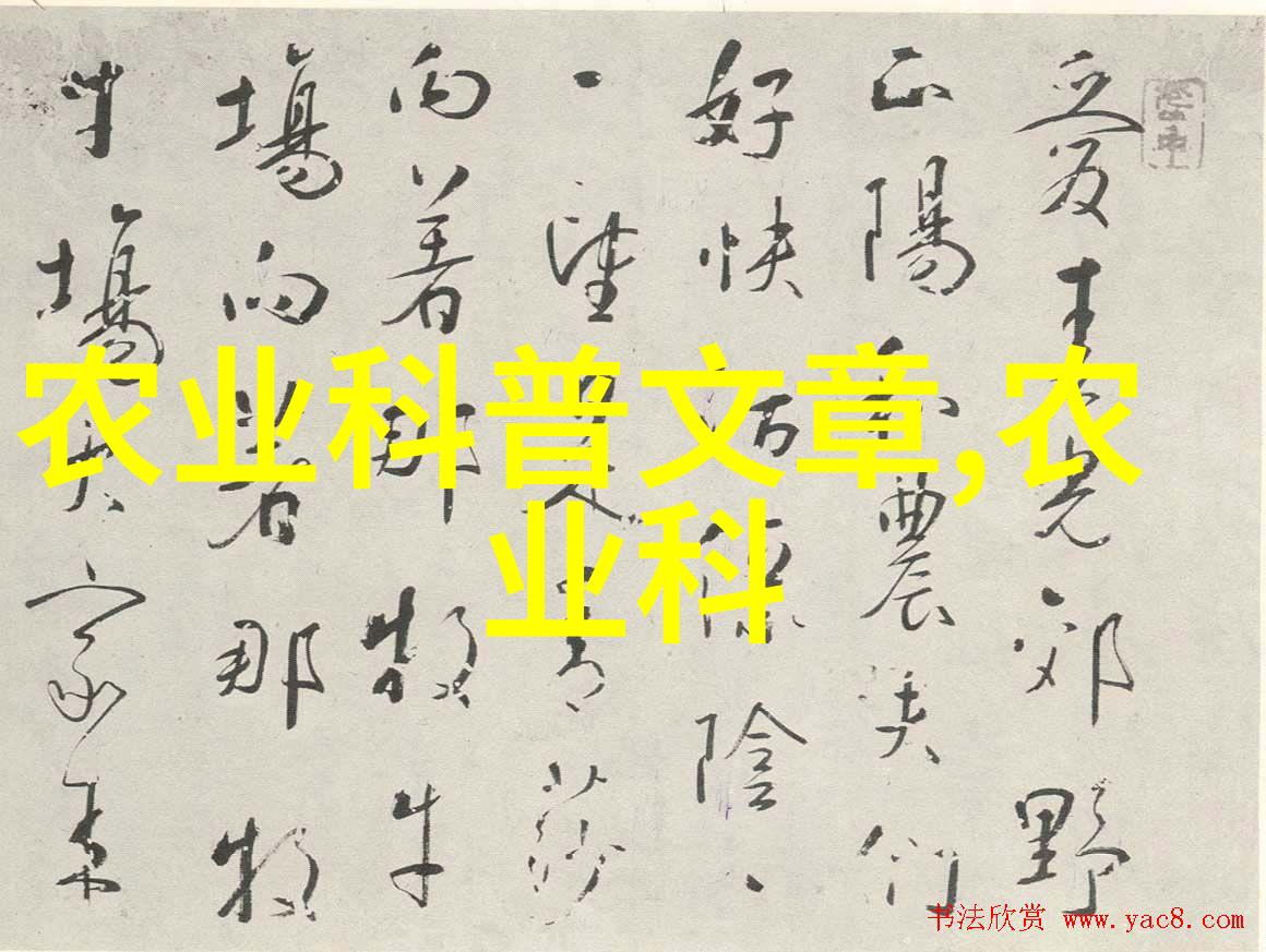 缅甸中文网新闻今天-缅甸中文网今日要闻揭秘新政对经济的深远影响