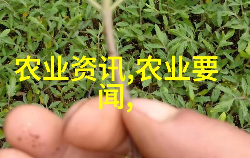 工厂化循环水养鱼骗局 - 蓝色金矿揭开工厂化循环水养鱼骗局的真相