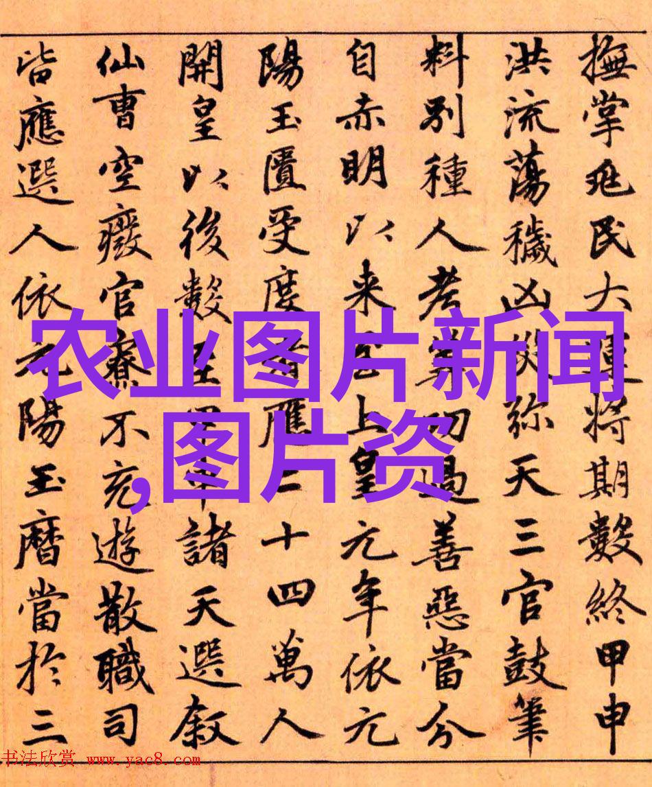 在高安市江西省的大球盖菇高效栽培技术培训和现场观摩会是怎样一番盛况它的召开是不是让所有参与者都有了更