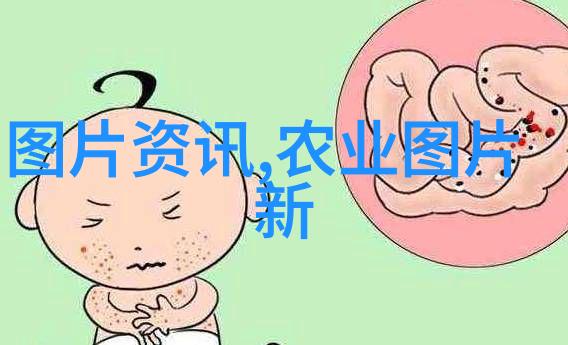 家庭种菜绿色家园的智慧