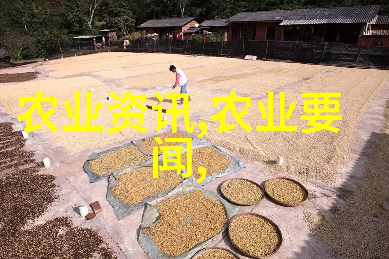 丰收秘籍探索最赚钱农村作物种植技巧