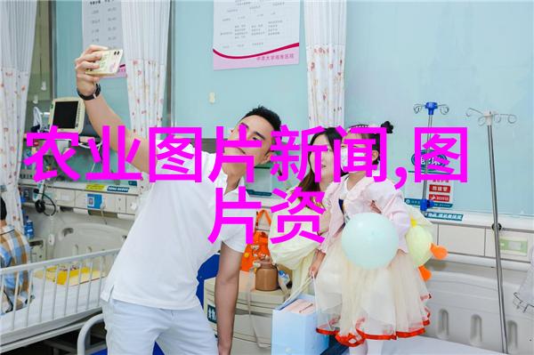 蜂舞与蜜源新手养蜂的诗意探索