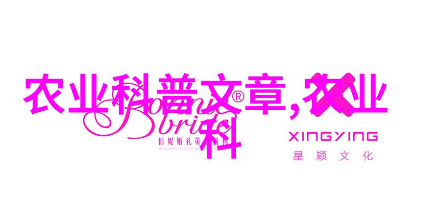 缅甸军政府与反对派的和解进程将如何展开