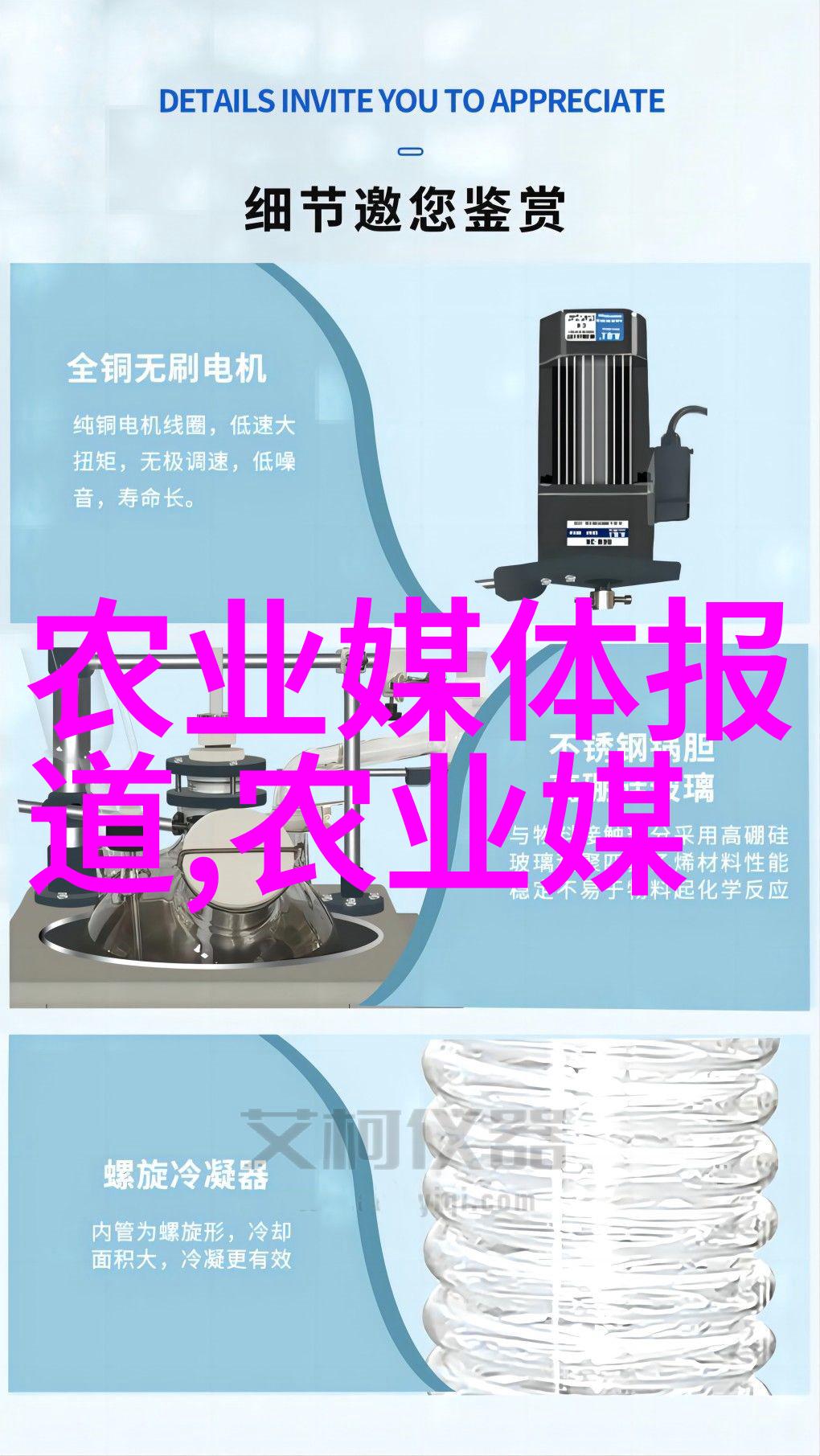 春日绽放水果籽之美在盆栽中绘就