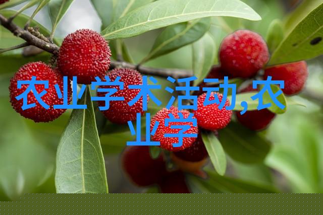 秋天阳台种植水果指南挑选适合季节的甜美佳品