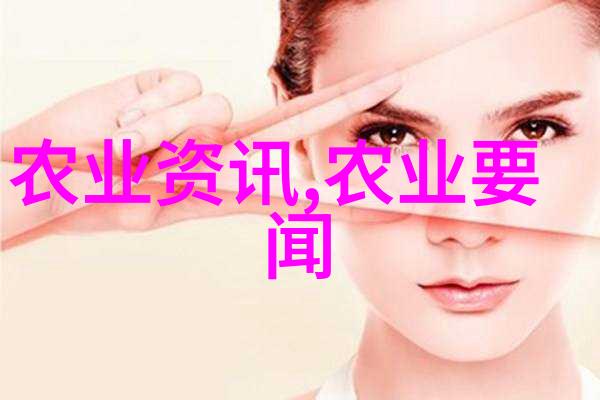 2021年度小规模个人所得税计算指南解析税率与扣除规定