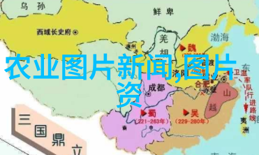 在乡村振兴中养牛合作公司有何重要性