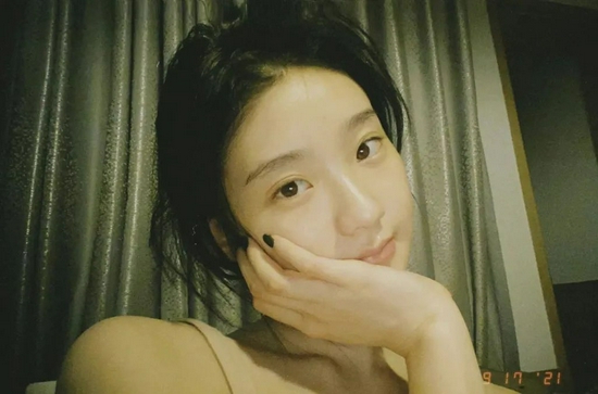 花园美化秘籍探索苗木花卉图片大全及精准价格指南