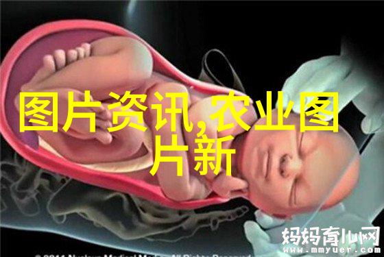 探秘当年收益的药材古方中隐藏的财富