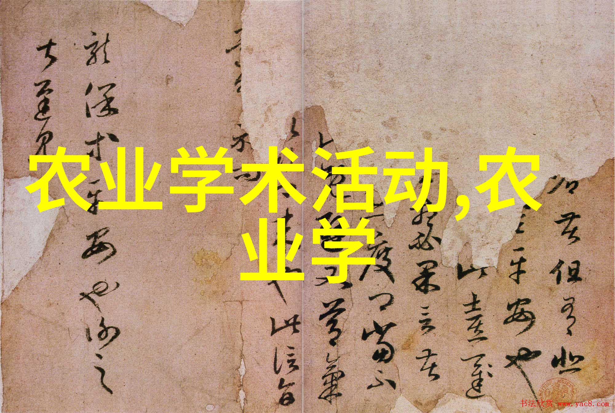 从土豆到蔬菜王国温室大棚育苗秘籍