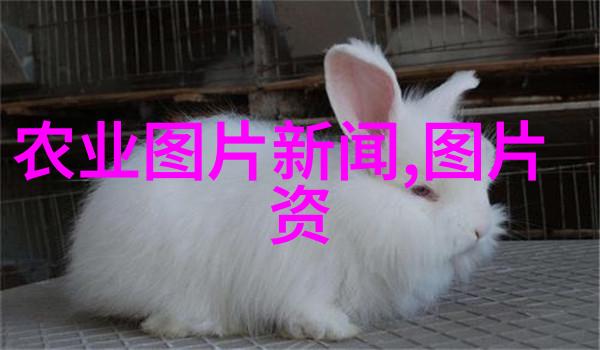 苗木花卉我家的后院变成了小确幸的摇篮