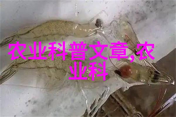 金融投资-方正期货智选市场稳赚不赔的投资秘诀