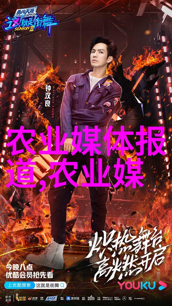 室内绿洲如何轻松种植美丽的室内植物