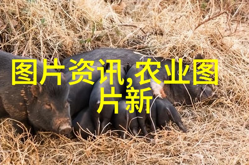 赴在特性创业养殖哪些品种最具竞争力