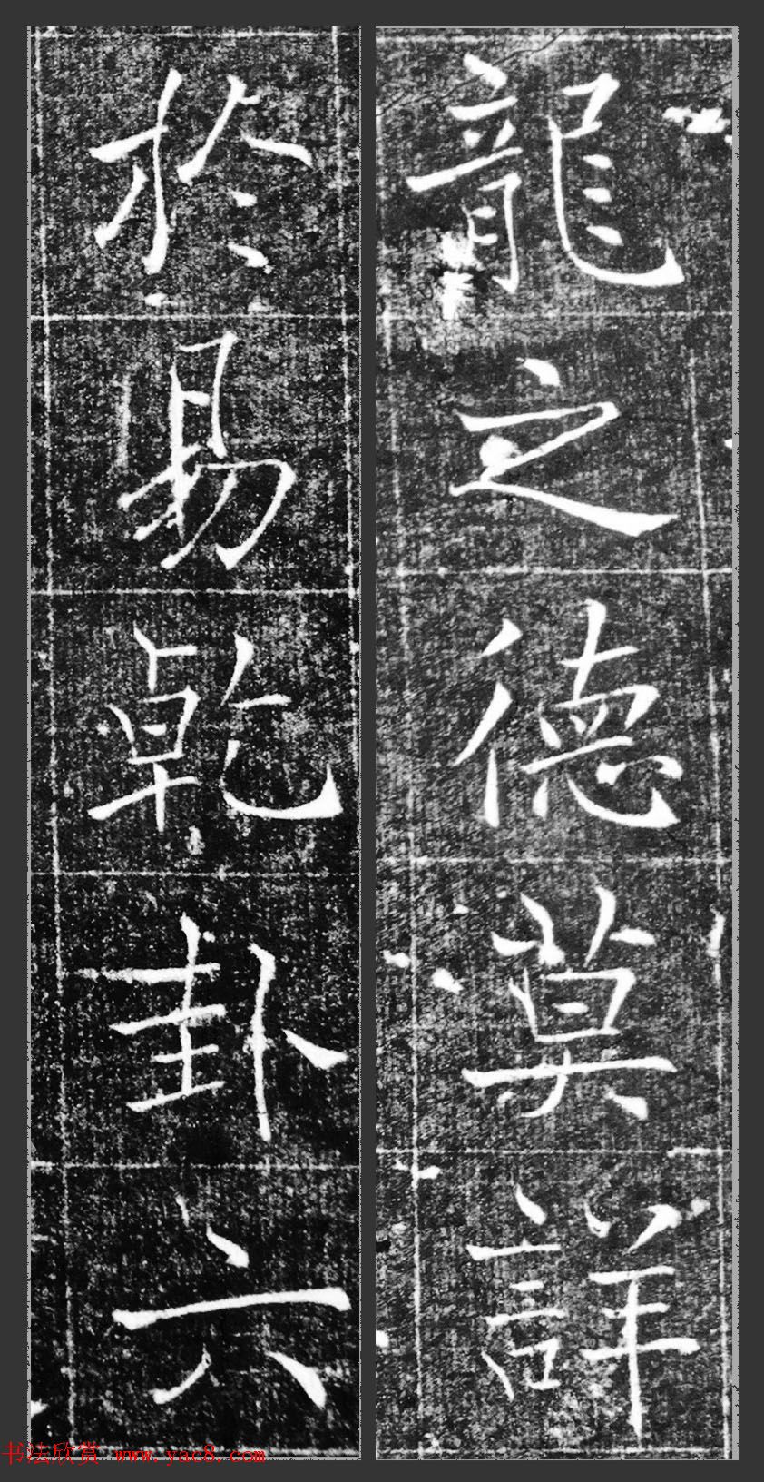 花卉苗木资讯新品种的诞生背后有哪些科学秘密