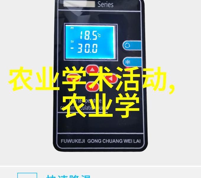 蔬菜之冠深度解读菠菜的营养价值与食用方法