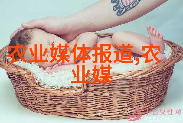 植物市场上的小巧珍品10公分千头椿价值评估