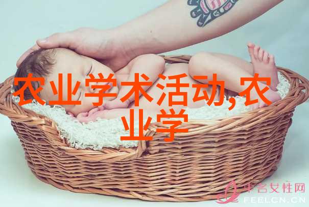 为了保持夏天的心情轻松愉快我们该选择哪些口味独特的草本混合茶