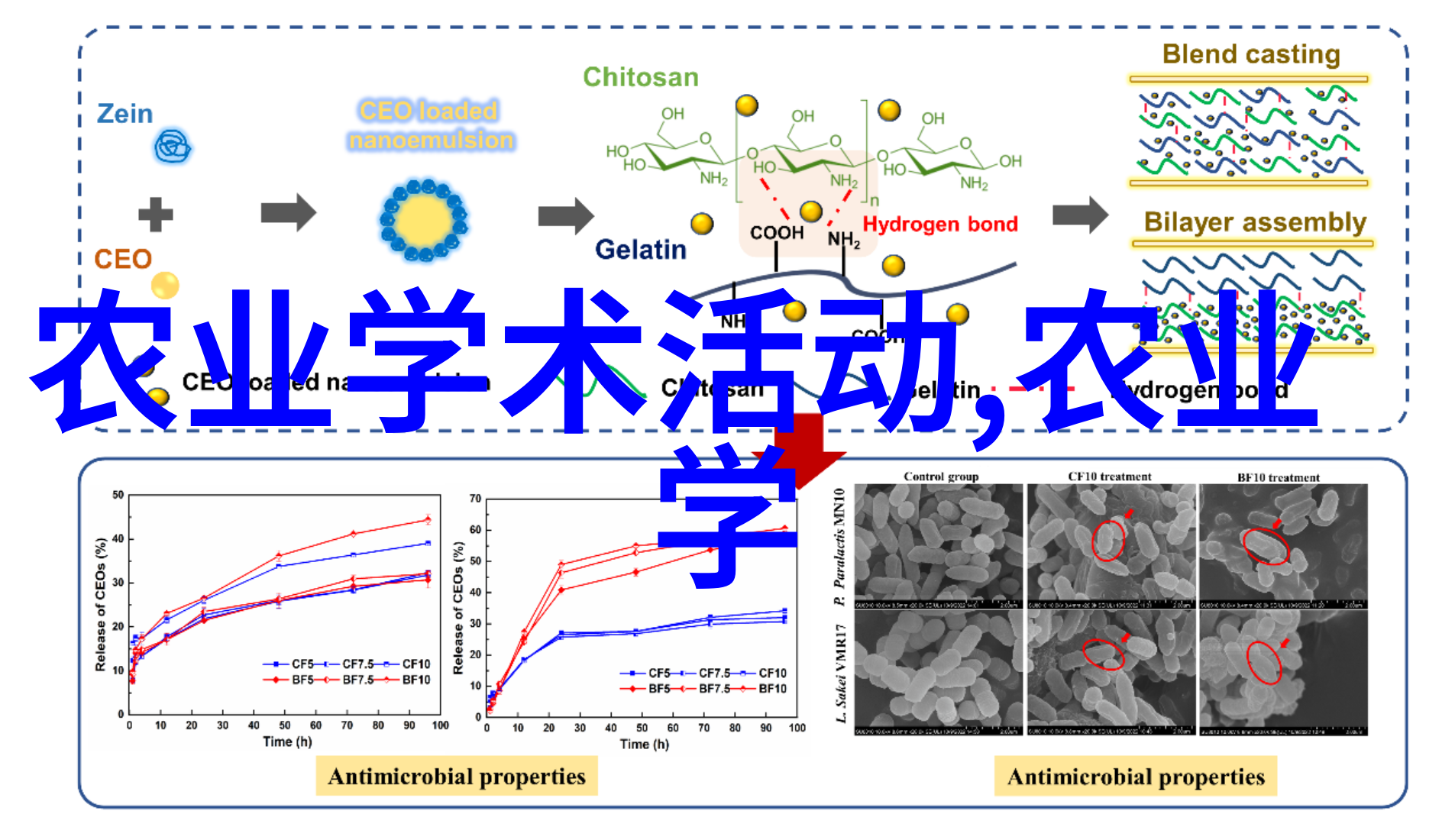 国际市场对于中国农产品质量标准提出了怎样的要求农机协会是如何适应这些要求的