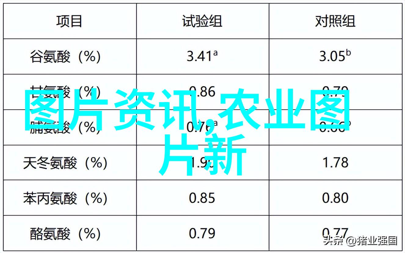 蜜源之谜科学养蜂的奥秘与未解之谜