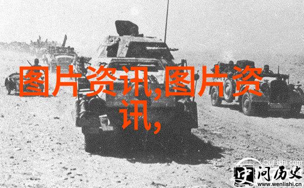 品味茶韵探索茶文化的深度与魅力