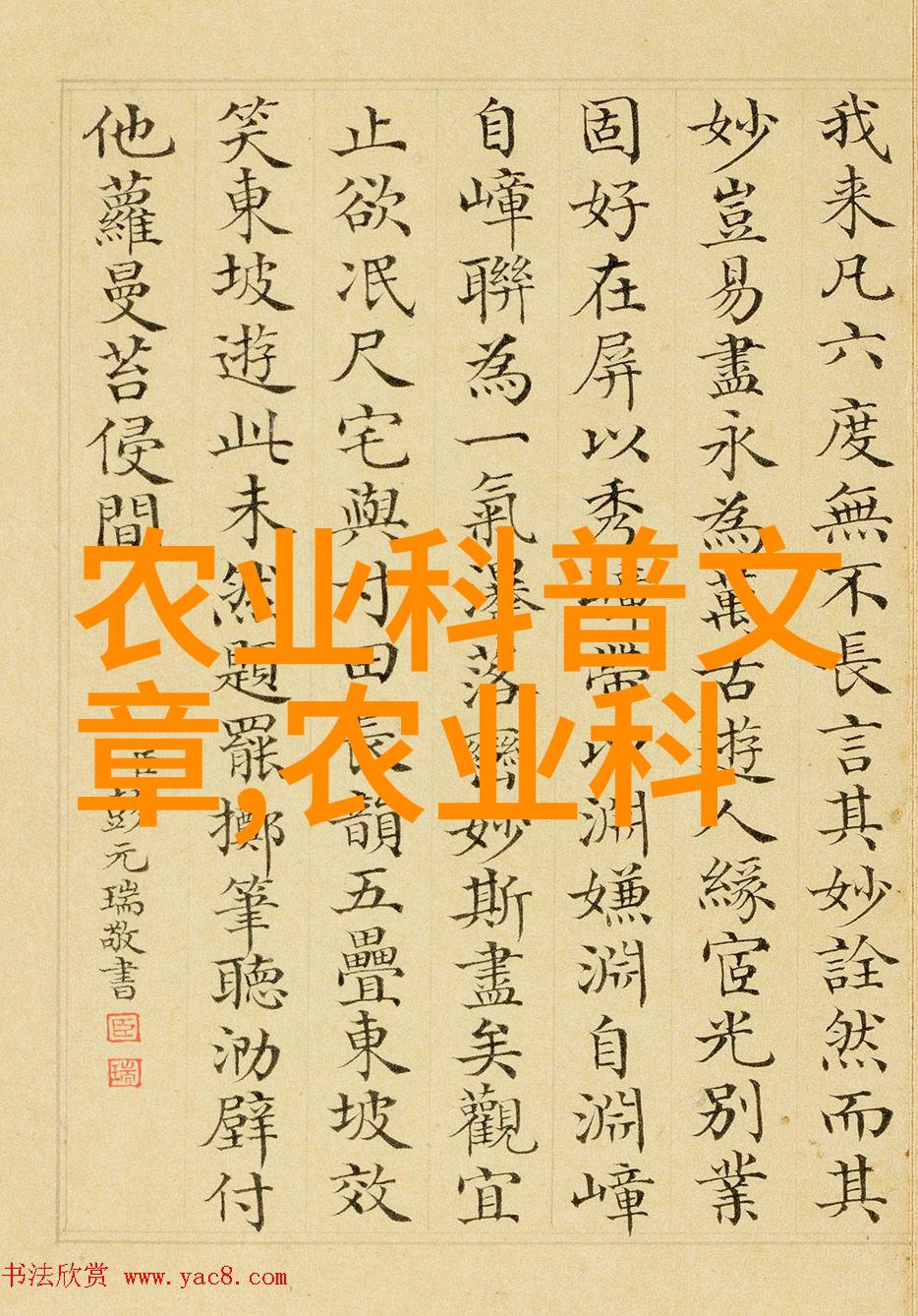 茶叶可以吃吗有什么功效-品味茶香解密绿茶的食用秘诀与健康益处