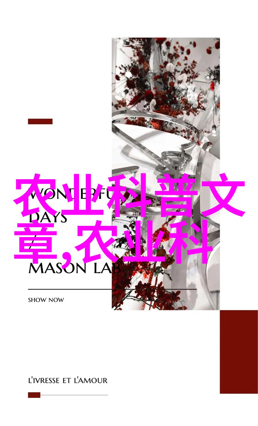 苗圃花卉基地春意盎然的绿茵与色彩交响