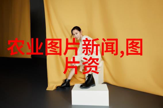 小院美化植物适合自家小院种植的美丽花卉