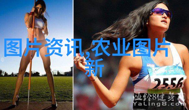 广西神秘药材桂林山水间的草药宝库