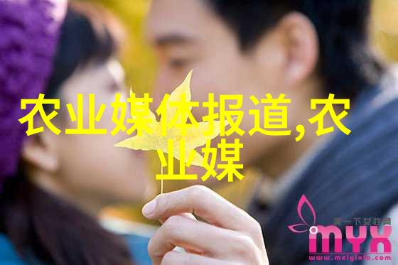 金线莲种植加盟绿色生态高效养护