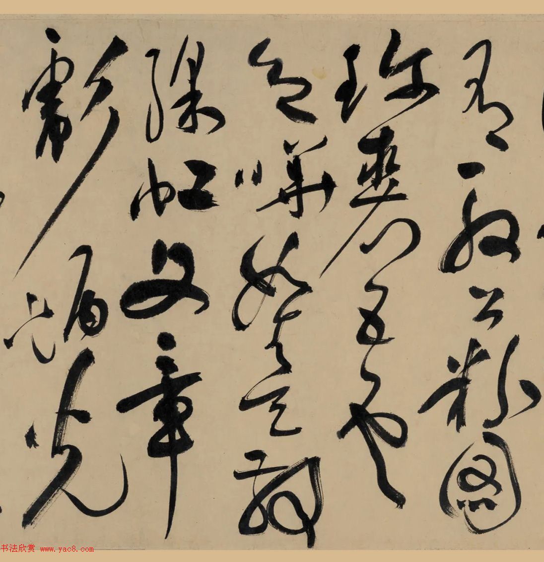 枫叶下的求购绿意盎然与数字的对比