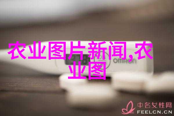 云南昆明鲜花批发市场绚烂的春意美丽的商机