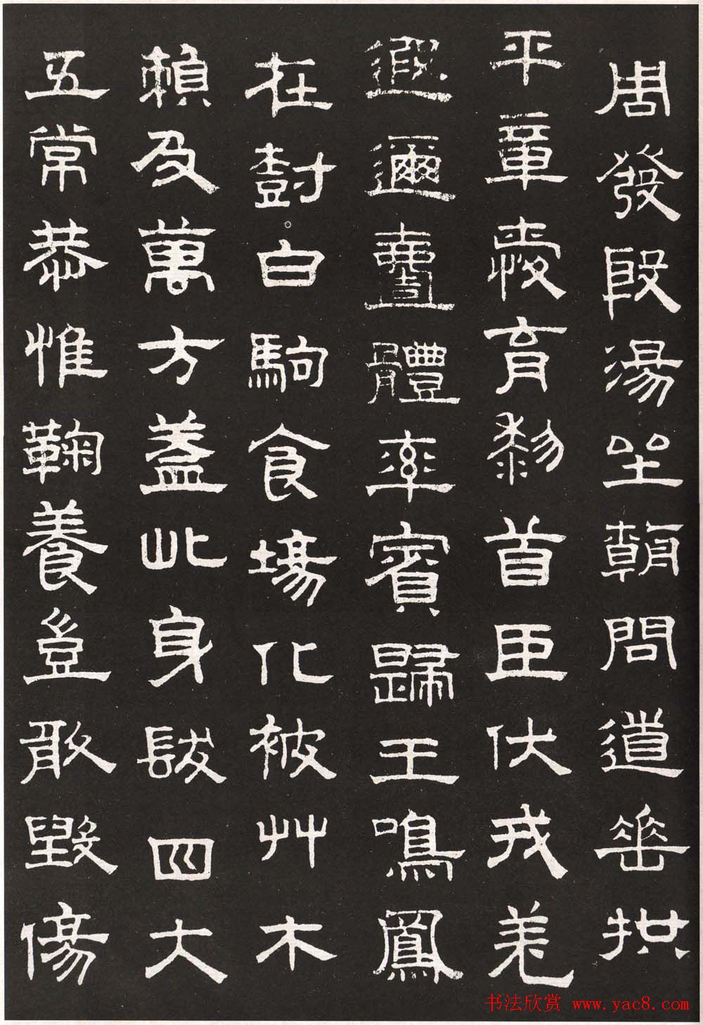 苍蝇养殖的智慧探索高效的养殖技巧与管理方法